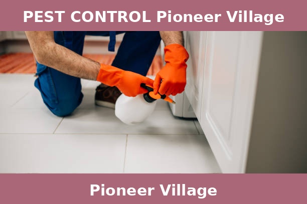 PEST CONTROL Pioneer Village